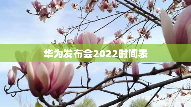 华为发布会2022时间表