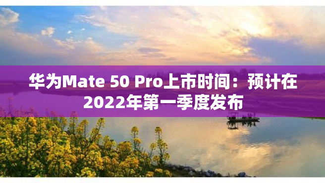 华为Mate 50 Pro上市时间：预计在2022年第一季度发布