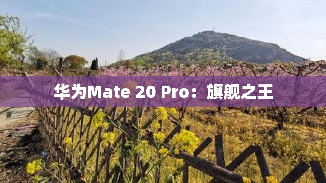华为Mate 20 Pro：旗舰之王