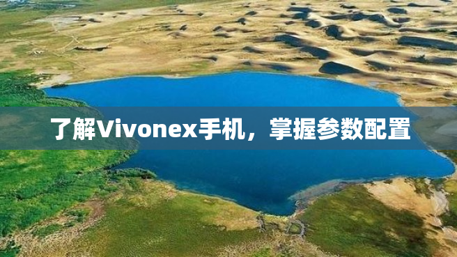 了解Vivonex手机，掌握参数配置