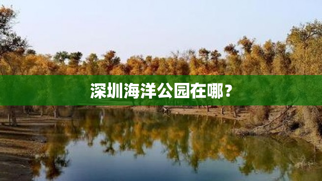 深圳海洋公园在哪？