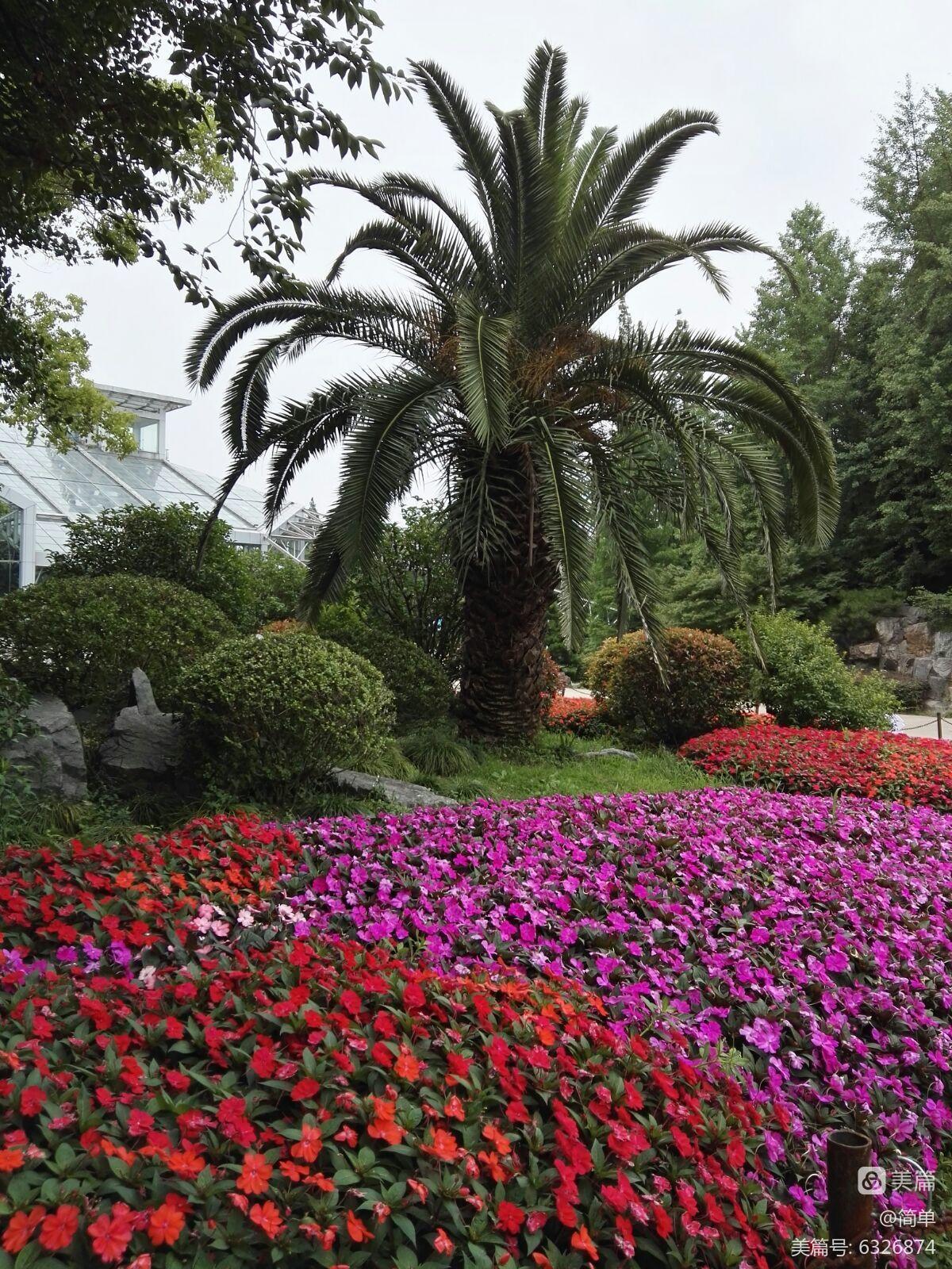 _上海辰山植物园一日游的说说_上海辰山植物园游玩要几个小时