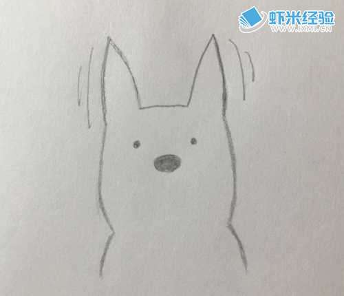怎么样画一只被吓到的柯基小狗简笔画？