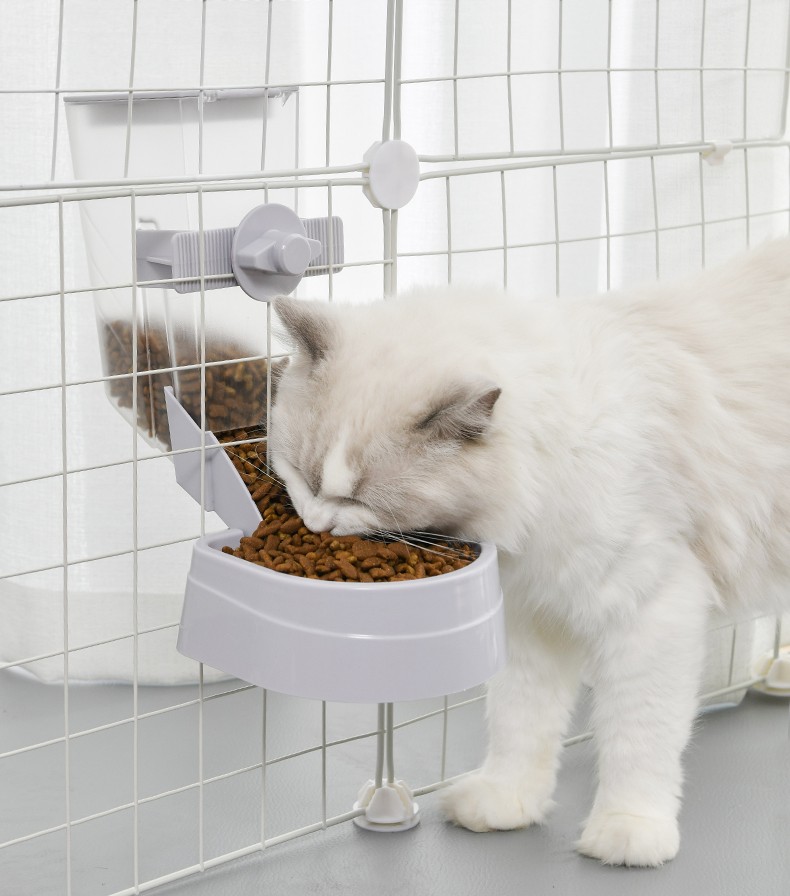 饲养猫咪猫食物优质饲料_宠物猫食物_