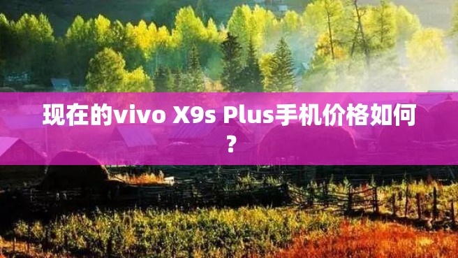 现在的vivo X9s Plus手机价格如何？