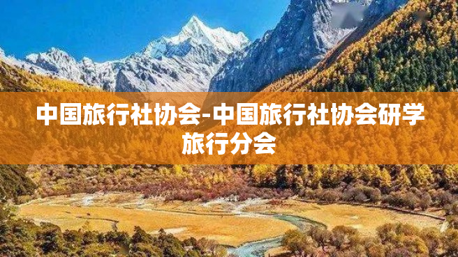 中国旅行社协会-中国旅行社协会研学旅行分会
