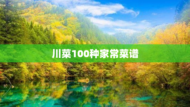川菜100种家常菜谱