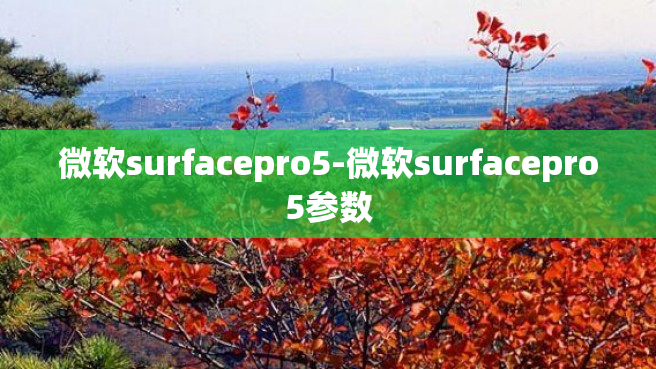 微软surfacepro5-微软surfacepro5参数