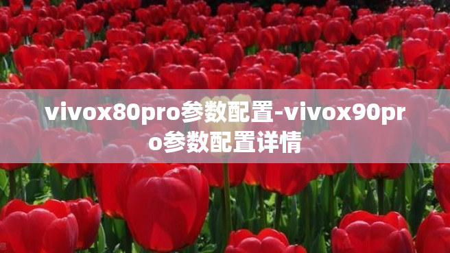 vivox80pro参数配置-vivox90pro参数配置详情