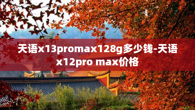 天语x13promax128g多少钱-天语x12pro max价格