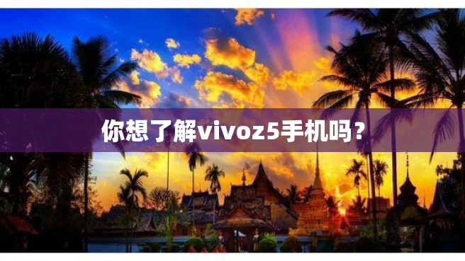 你想了解vivoz5手机吗？