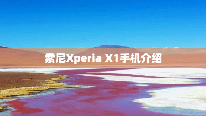 索尼Xperia X1手机介绍