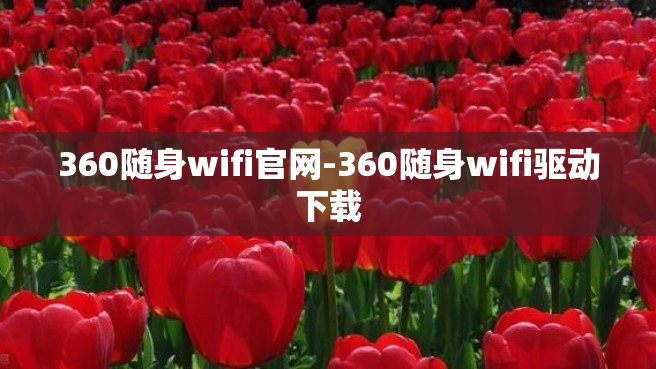360随身wifi官网-360随身wifi驱动下载