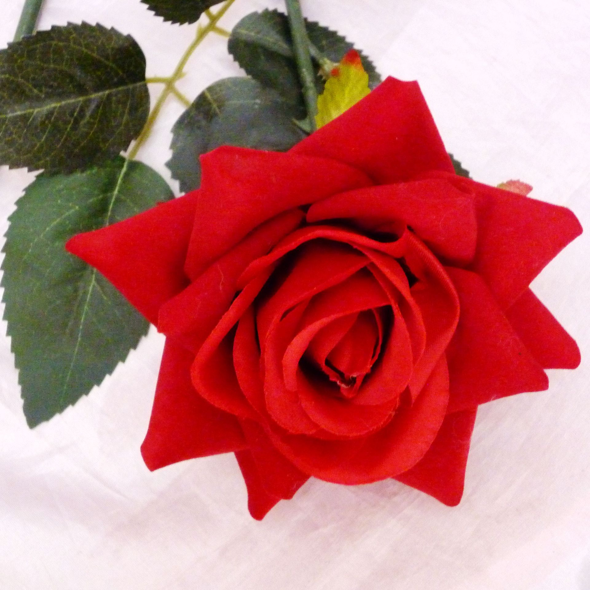 川崎玫瑰的折法视频_川崎玫瑰折痕纸教程_