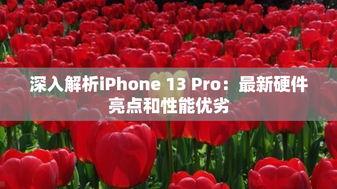 深入解析iPhone 13 Pro：最新硬件亮点和性能优劣