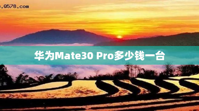 华为Mate30 Pro多少钱一台
