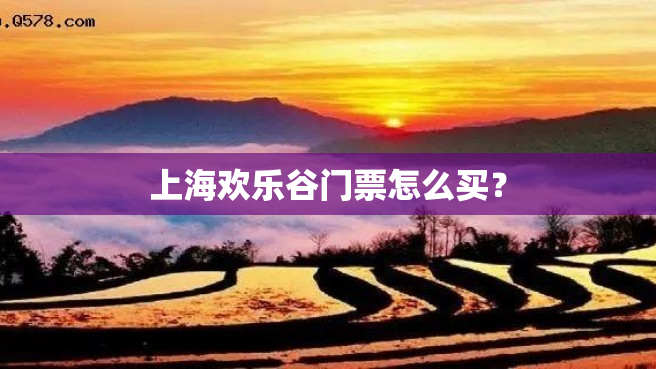 上海欢乐谷门票怎么买？