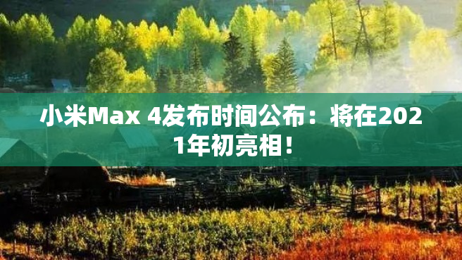 小米Max 4发布时间公布：将在2021年初亮相！