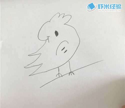 简笔画鹦鹉的画法视频_简笔画的鹦鹉怎么画_