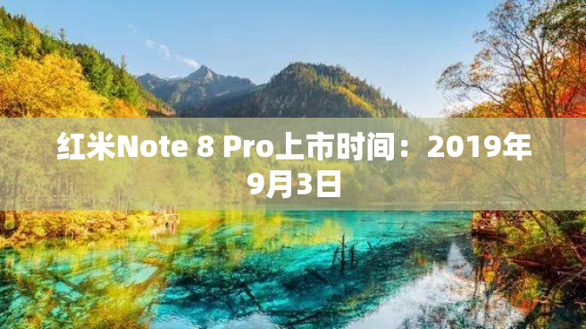 红米Note 8 Pro上市时间：2019年9月3日