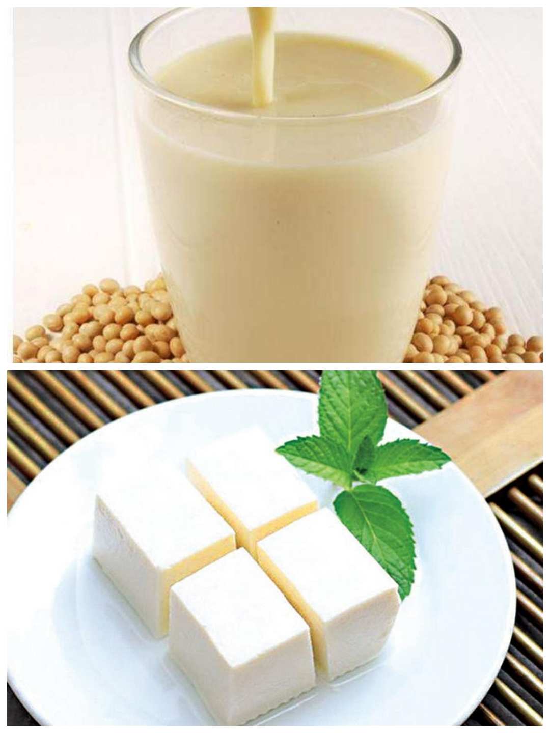 自制豆腐乳简单方法大全__自制豆腐乳简单方法窍门