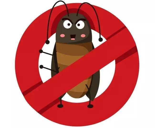 家里有蟑螂有宠物怎么办_蟑螂灭宠物家里有危险吗_