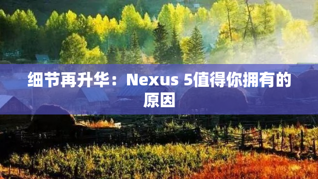 细节再升华：Nexus 5值得你拥有的原因