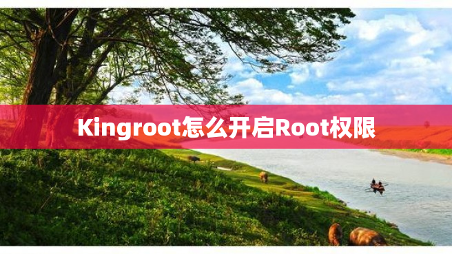 Kingroot怎么开启Root权限