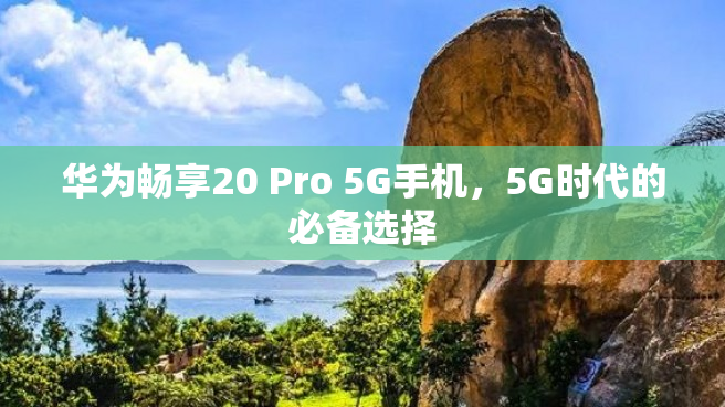 华为畅享20 Pro 5G手机，5G时代的必备选择