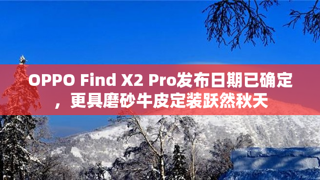 OPPO Find X2 Pro发布日期已确定，更具磨砂牛皮定装跃然秋天
