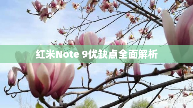 红米Note 9优缺点全面解析