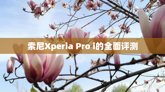 索尼Xperia Pro i的全面评测