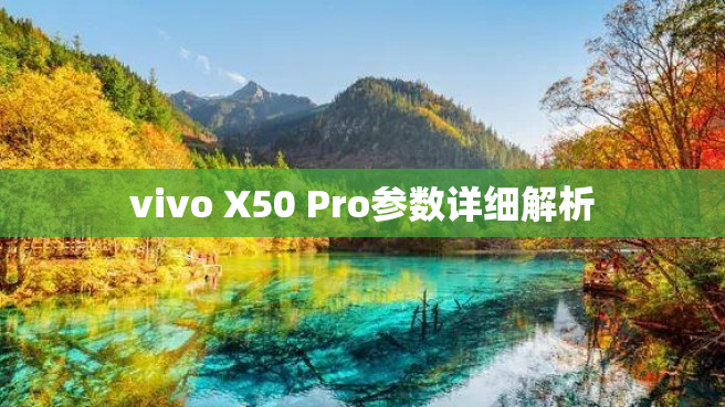 vivo X50 Pro参数详细解析