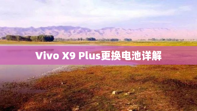 Vivo X9 Plus更换电池详解