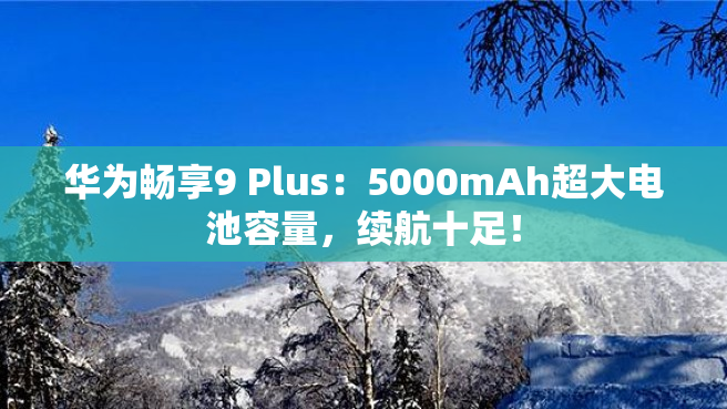 华为畅享9 Plus：5000mAh超大电池容量，续航十足！