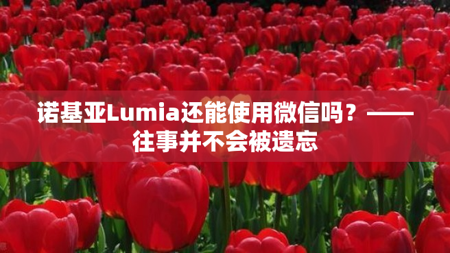 诺基亚Lumia还能使用微信吗？——往事并不会被遗忘