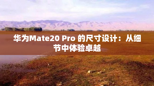 华为Mate20 Pro 的尺寸设计：从细节中体验卓越