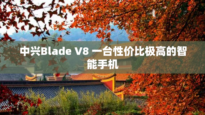 中兴Blade V8 一台性价比极高的智能手机