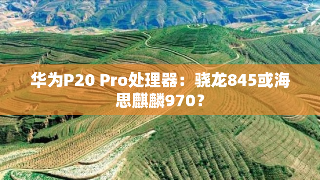 华为P20 Pro处理器：骁龙845或海思麒麟970？