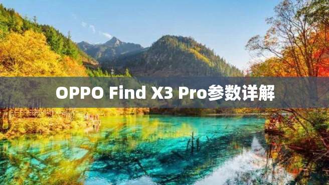 OPPO Find X3 Pro参数详解