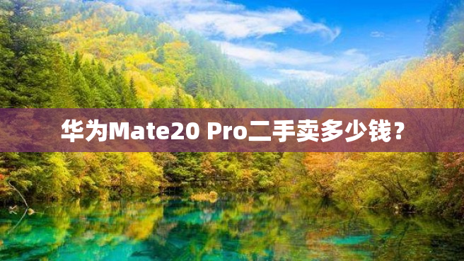华为Mate20 Pro二手卖多少钱？