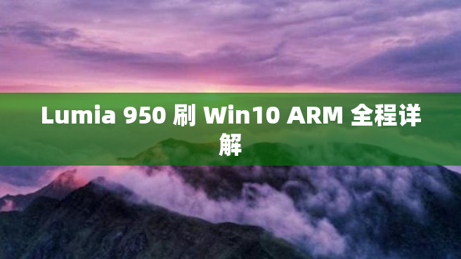 Lumia 950 刷 Win10 ARM 全程详解