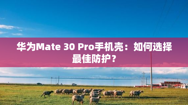 华为Mate 30 Pro手机壳：如何选择最佳防护？