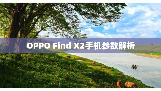 OPPO Find X2手机参数解析