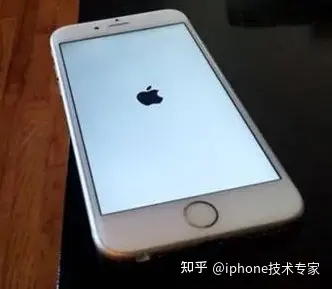 苹果5c白苹果怎么办__iphone白苹果什么原因