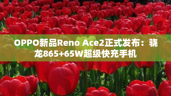 OPPO新品Reno Ace2正式发布：骁龙865+65W超级快充手机