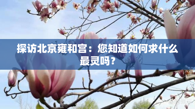 探访北京雍和宫：您知道如何求什么最灵吗？
