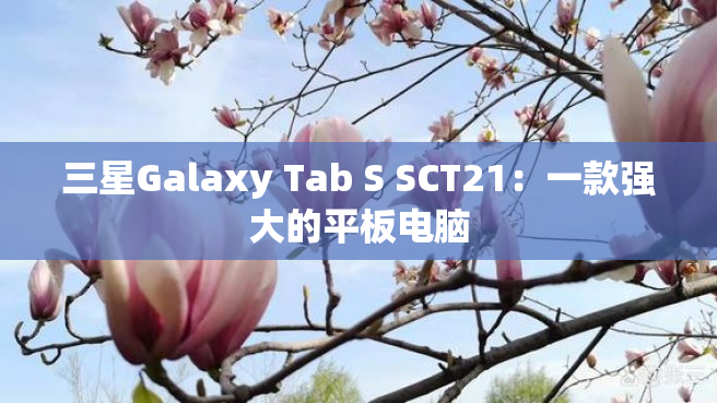 三星Galaxy Tab S SCT21：一款强大的平板电脑