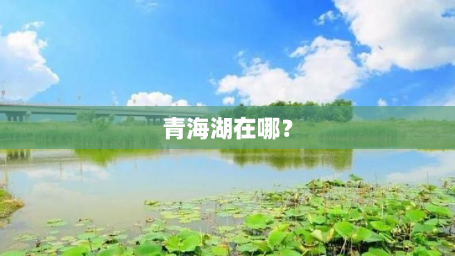 青海湖在哪？