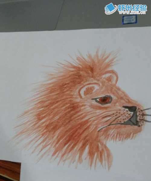 高大威猛的狮子如何画?